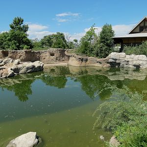 Elephant Passage - Species Rotation Yard West of Elephant House