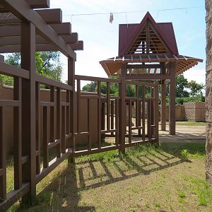Elephant Passage - Elephant House Exterior - Elephant Crossing Path