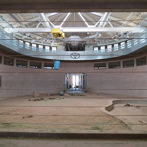 Elephant Passage - Elephant House Interior