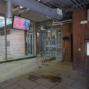 Elephant Passage - Elephant House Interior