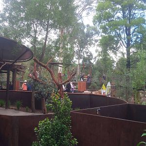 Overview of the new Koala area