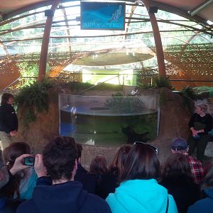 Tales from Platypus Creek