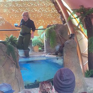 Tales from Platypus Creek