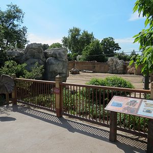 Elephant Passage - Species Roatation Yard East of Elephant House