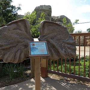 Elephant Passage - Species Roatation Yard East of Elephant House