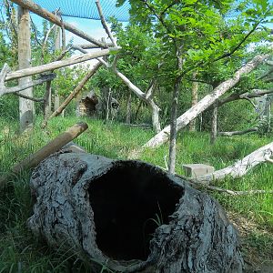 Elephant Passage - Clouded Leopard Exhibit