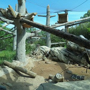 Elephant Passage - Clouded Leopard Exhibit
