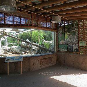 Elephant Passage - Clouded Leopard Exhibit