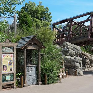 Elephant Passage - Animal Crossing Bridge over Visitor Path