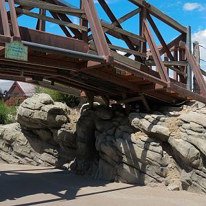 Elephant Passage - Animal Crossing Bridge over Visitor Path