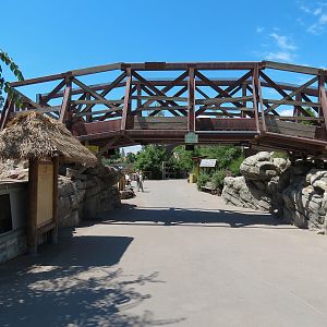 Elephant Passage - Animal Crossing Bridge over Visitor Path