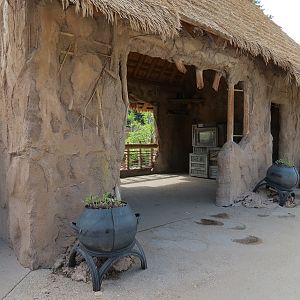 Elephant Passage - Species Rotation Yard With Amphitheater - Viewing Shelte