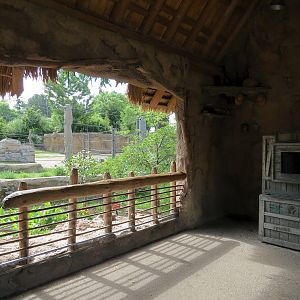Elephant Passage - Species Rotation Yard With Amphitheater - Viewing Shelte