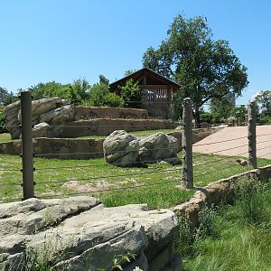 Elephant Passage - Species Rotation Yard With Amphitheater
