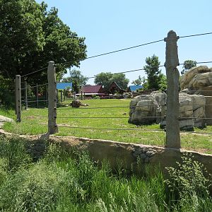 Elephant Passage - Species Rotation Yard With Amphitheater