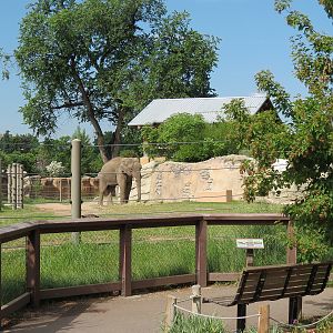 Elephant Passage - Species Rotation Yard With Amphitheater - Asian Elephant