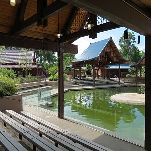Elephant Passage - Species Rotation Yard With Amphitheater
