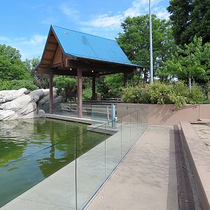 Elephant Passage - Species Rotation Yard With Amphitheater