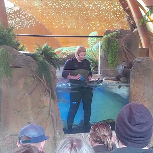 tales from Platypus Creek