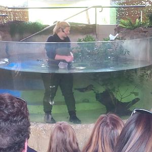 tales from Platypus Creek