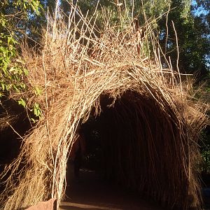 revamped entrance to the Lyre bird forrest avairy