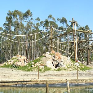 Babbon Island at Badoca Safari Park