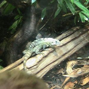 l fc68cacba23ed008bac35e67044e63fc