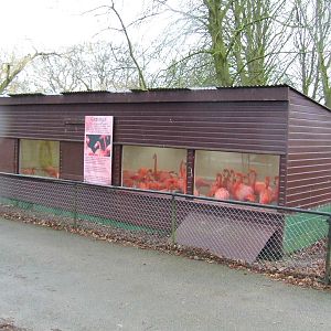 American Flamingo House