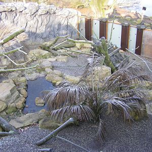 Paradisio jan 09 008