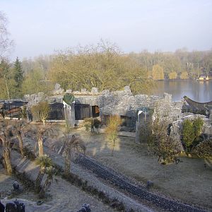 Paradisio jan 09 009