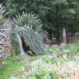 Walk-through Ring-tailed Lemur enclosure