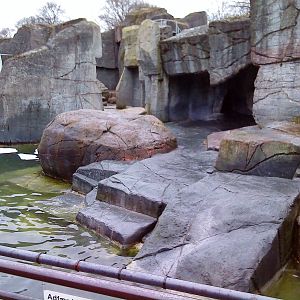The polar bear exhibit, picture 1 of 3