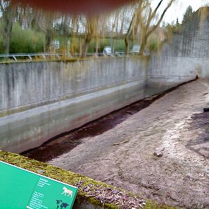 Amur tiger exhibit, picture 4 of 4