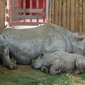 mommy & baby together