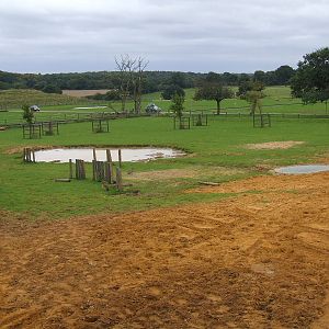 Greater One-horned Rhino enclosure, Rhinos of Nepal exhibition