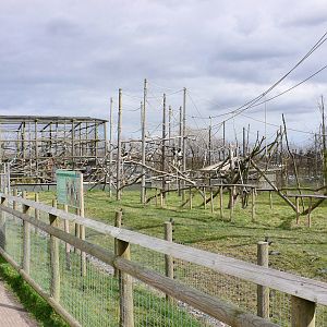 Colobus and Gelada Exhibit, Howletts, 14 March 09
