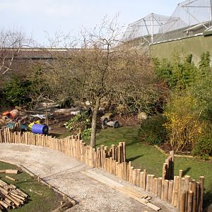 New Babirusa Enclosure - 4