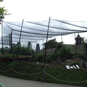Walk-through African Bird Safari