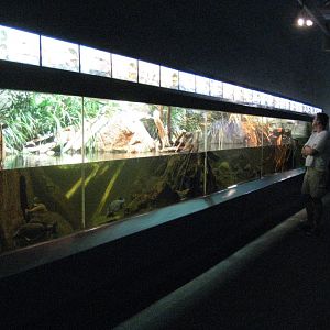 Murray-Darling River tank