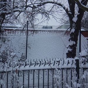 London Zoo in the snow