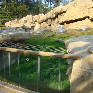 Prairie Dog exhibit