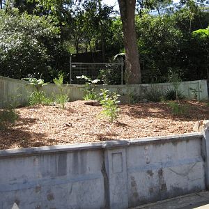 Old Aviary opposite new elephant facility