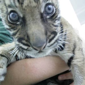 IMG 7879 2000x2000 750KB