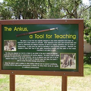 Ankus Signage