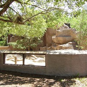 African Crested Porcupine Enclosure