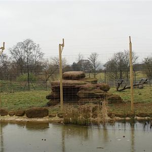 Cheetah exhibit 1 Jan 2009