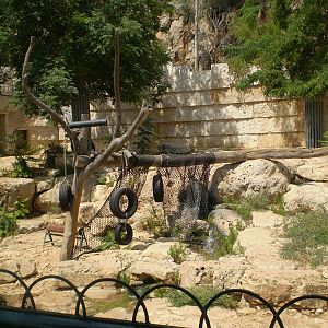 Tisch Family Zoo, Jerusalem July 2008