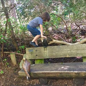 Boy on the Raven Bench.