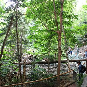 Canadian Maple Forest Hall - June 2016