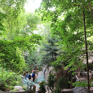 Canadian Maple Forest Hall - June 2016